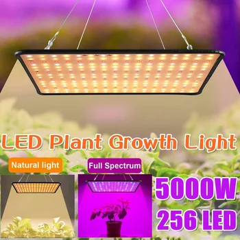 256 светодиодов для выращивания, Светодиодная лампа полного спектра, 5000 Вт, светодиодная лампа для растений, теплицы, Фито-лампа для выращивания, Палатка, Штепсельная вилка US EU AU