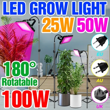 25 Вт 50 Вт 100 Вт Фитолампа LED Grow Light Водонепроницаемая Растительная Лампа С Подставкой Полный Спектр Фитолампы Для Выращивания Семян В Помещении, Теплица, Овощ